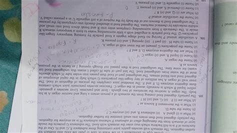 Image result for Partially Digested Food