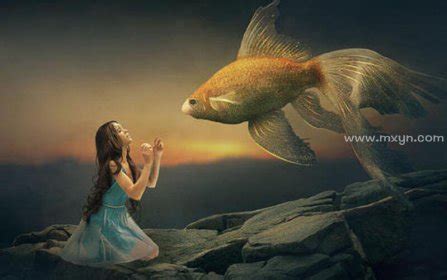 梦见自己养了一条金鱼我也可以生活在水里 - 原版周公解梦大全
