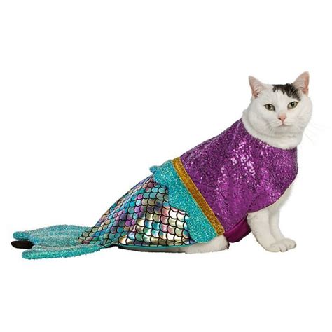 35 Cat Halloween Costumes — Funny Halloween Costumes for Cats - Parade Pets
