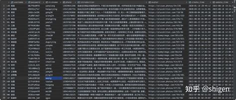 SQLAlchemy 的图像结果