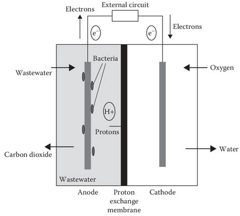 Microbial Fuel Cell Construction Features and Application for ...