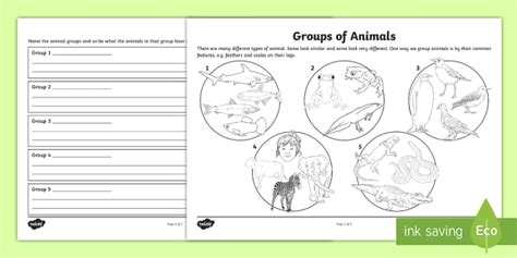Animal Groups Worksheet (teacher made) - Twinkl