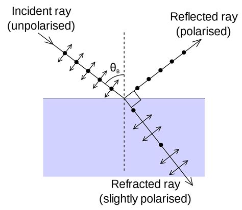 Polarization by reflection of light | Class Twelve Physics
