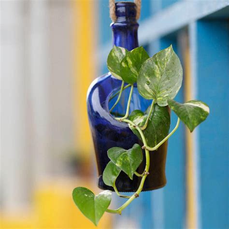 Kavi The Poetry-Art Project