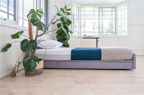 PremiumLift Deluxe Floor Bed - King Single – Back to sleep