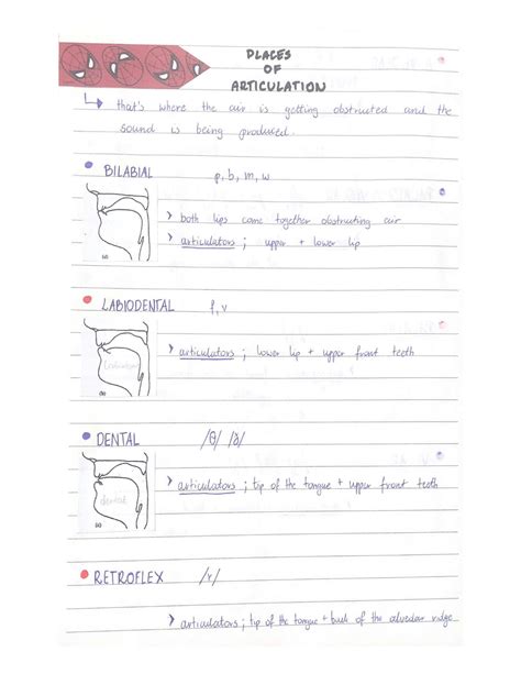 SOLUTION: Vocal articulators places manners of articulation ...