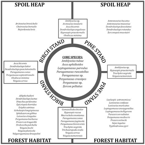 Succession of Mite Assemblages (Acari, Mesostigmata) during ...