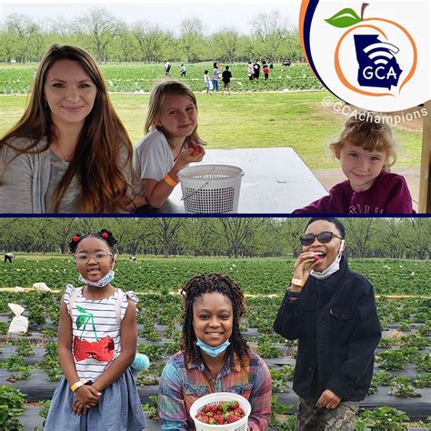 Georgia Cyber Academy on LinkedIn: #webringschooltoyou #wherechampionsrise