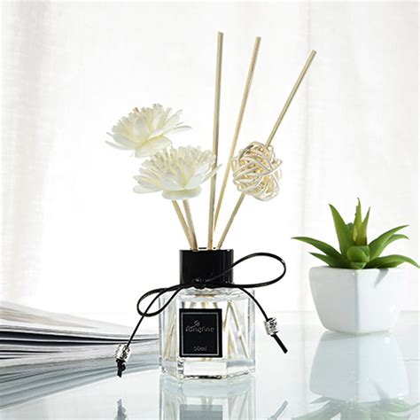 ZBFJINX Reed Oil Diffusers with Natural Sticks, Glass Bottle and ...