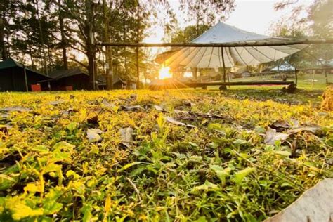 LETS Camp | Best Location in Yercaud | Coffee Plantations