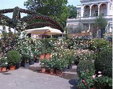 comune di terrazzo mostra mercato piante fiori ed arredi artigianato comune di terrazzo mostra mercato piante fiori ed arredi artigianato