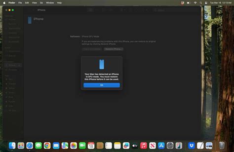 Image result for iPhone 12 Pro Max DFU Mode