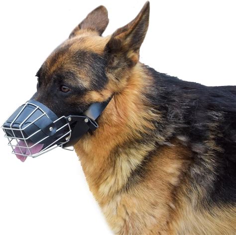 RvPaws Dogs Metal Muzzle/Mouth Cover for Anti Biting Dog - Adjustable ...