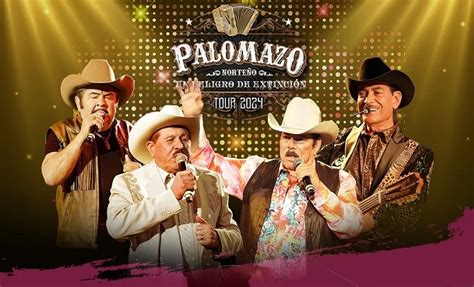 Image result for Palomazo Tutorial