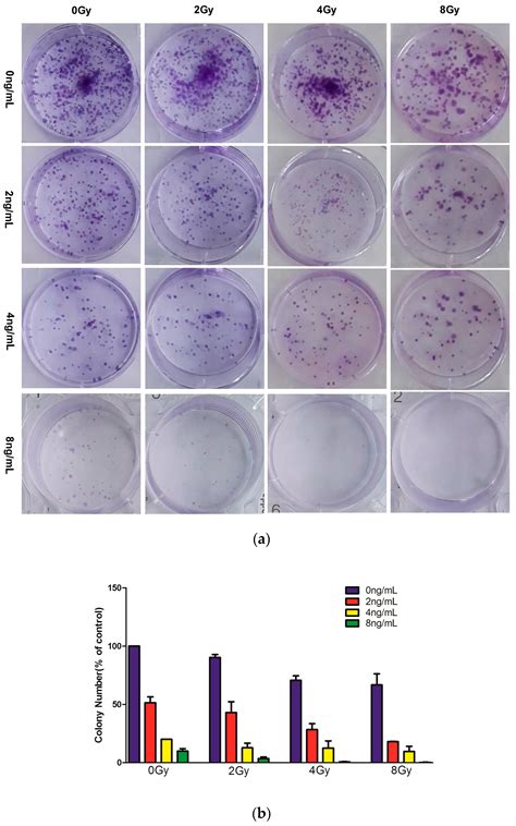 Triptolide Combined with Radiotherapy for the Treatment of ...
