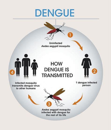 Sintomas Del Dengue