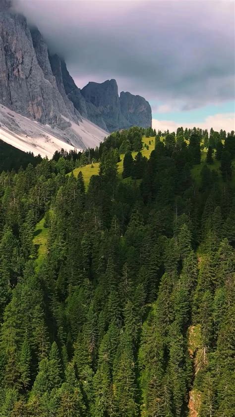 Beauty in Nature 的图像结果