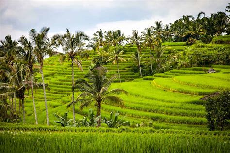 Where to Go in Bali: 7 Amazing Destinations For YOUR 2026 Getaway
