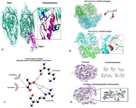 Image result for Protein Complex Function