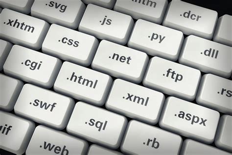 Computer HTML 的图像结果