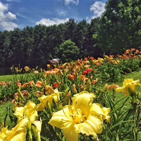 Aldridge Gardens in Birmingham, Alabama