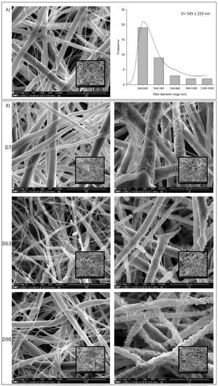 Electrospun Polycaprolactone (PCL) Degradation: An In Vitro and In Vivo ...