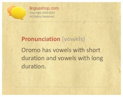 Oromo Language Lesson 的图像结果