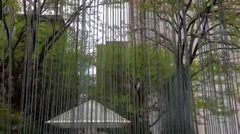 Image result for Using Sound Rods