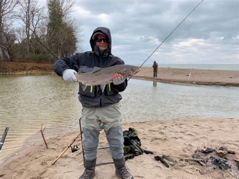 Image result for Wading Dance Tutorial