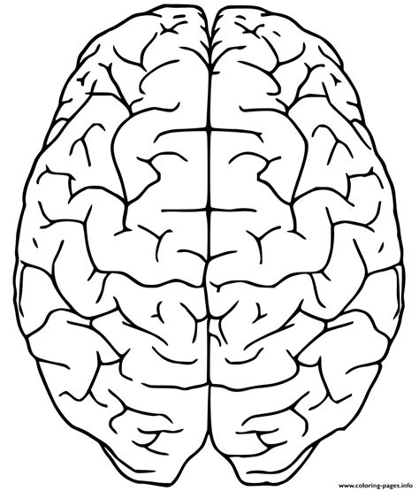 Brain Coloring Page Printable