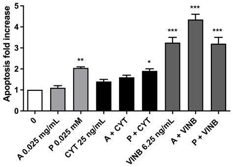 In Vitro Investigation of the Anticancer Properties of Ammodaucus ...