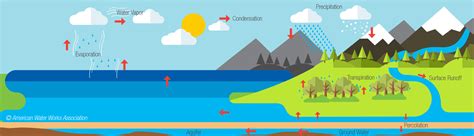 Image result for Water Cycle Spring