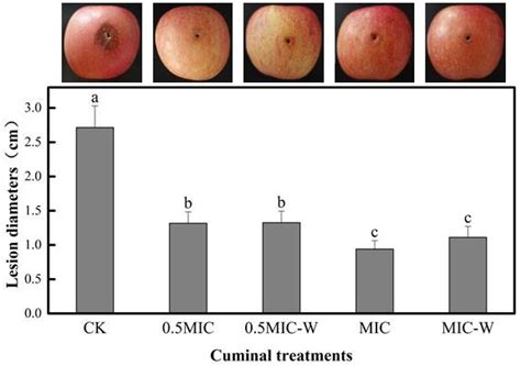 Cuminal Inhibits Trichothecium roseum Growth by Triggering Cell ...