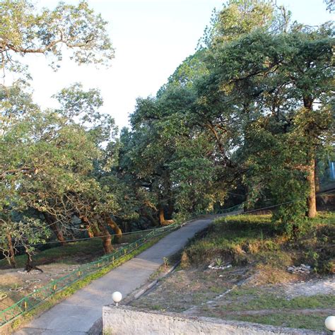 GARHWALI MESS (2025) All You Need to Know BEFORE You Go (with Photos ...