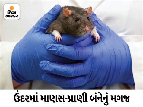 This will help scientists understand, and even find cures for ...