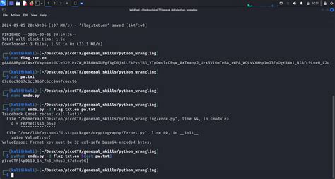 Image result for picoCTF Python Wrangling Solution
