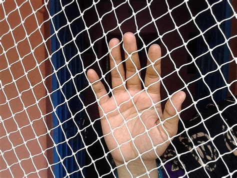 SAI Balaji Enterprises UV Stabilized Nylon Pigeon Net_Bird Net_Monkey ...