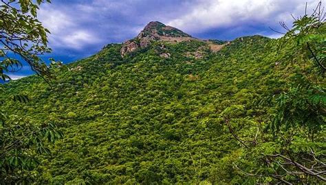 Places To Visit In Yercaud In 2026 For An Ultimate Adventure