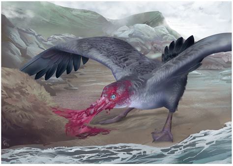A New Giant Petrel (Macronectes, Aves: Procellariidae) from the ...
