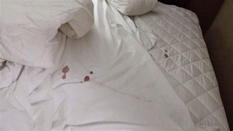 DAYS INN & SUITES BY WYNDHAM MANHEIM LEBANON (PA - Lancaster County ...