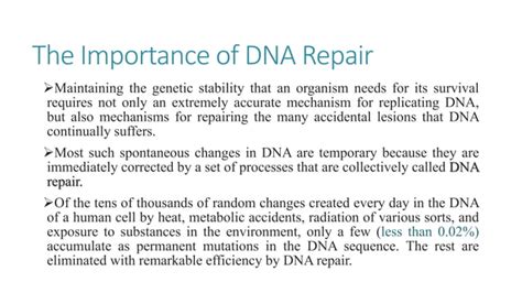 Steps to DNA Repair 的图像结果