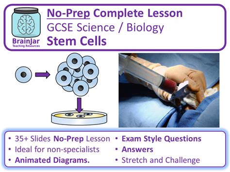 Stem Cells Free Science Lessons 的图像结果