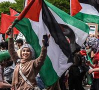Image result for palestinian flag harvard news