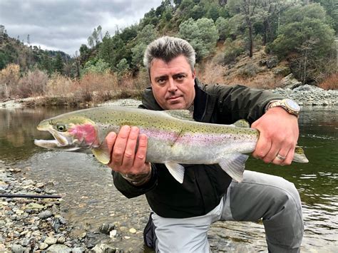 Trinity River Fish Report - Trinity River - Trinity steelhead fishing ...