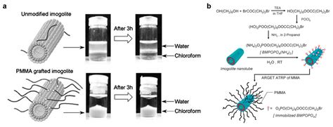 Imogolite Nanotubes: A Flexible Nanoplatform with Multipurpose Applications