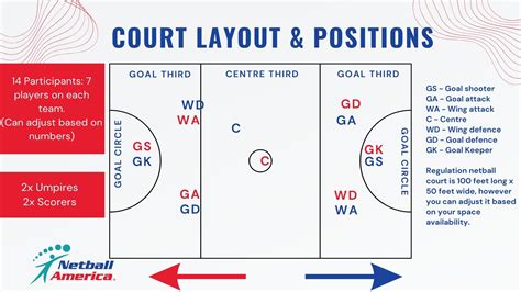 Netball Position 的图像结果