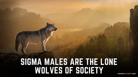 What It Means To Be A Sigma: Top 11 Sigma Male Traits