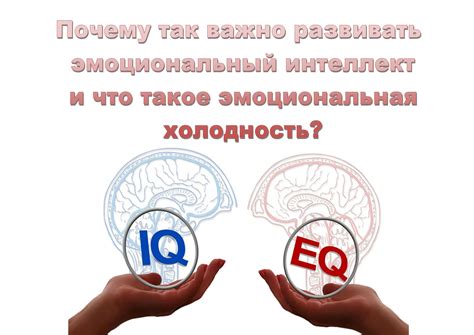 Почему так важно развивать эмоциональный интеллект и что такое ...