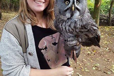 KENT OWL ACADEMY - All You Need to Know BEFORE You Go 2026 (with Photos ...