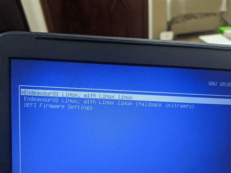 Option Linux 的图像结果